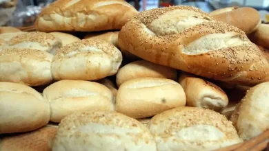 Preço do pão francês varia mais de 100% em João Pessoa; veja onde encontrar o quilo mais barato Preço do pão francês varia mais de 100% em João Pessoa; veja onde encontrar o quilo mais barato