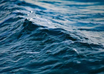 Homem morre afogado em excursão à praia de Barra de Gramame, em João Pessoa