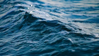 Homem morre afogado em excursão à praia de Barra de Gramame, em João Pessoa Homem morre afogado em excursão à praia de Barra de Gramame, em João Pessoa