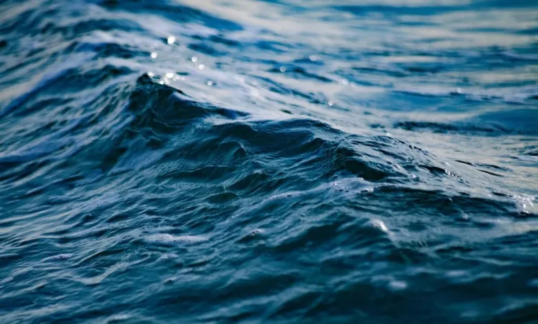 Homem morre afogado em excursão à praia de Barra de Gramame, em João Pessoa