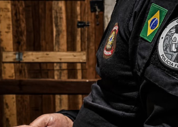 PF faz operação contra armazenamento de material de abuso sexual infantil na Paraíba