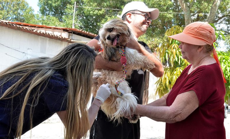 Prefeitura de Campina Grande realiza segundo Dia D de Vacinação Antirrábica neste sábado (12) Prefeitura de Campina Grande realiza segundo Dia D de Vacinação Antirrábica neste sábado (12)