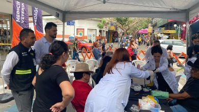 “Procon na Rua” realiza mais de 800 atendimentos em sua primeira edição em Campina Grande