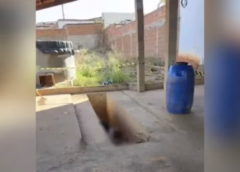 Mulher é encontrada morta em fosso de lava a jato em Tavares