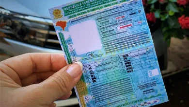 Número de CNHs emitidas na Paraíba dobra em 2026 e supera 55 mil Número de CNHs emitidas na Paraíba dobra em 2026 e supera 55 mil