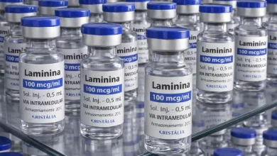 Testes clínicos fase 1 da polilaminina começam este mês