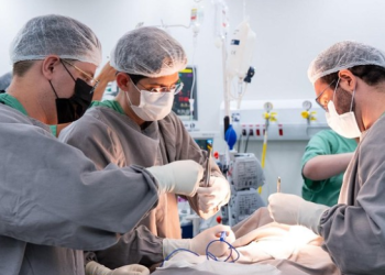 Hospital da Mulher realiza primeiro transplante renal 100% pelo SUS na PB Hospital da Mulher realiza primeiro transplante renal 100% pelo SUS na PB
